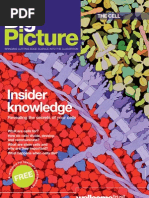 Download Big Picture on the Cell by Wellcome Trust SN45321827 doc pdf