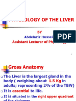 Liver Physiology: Structure and Blood Flow