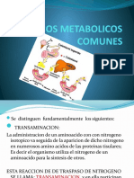 Caminos Metabolicos Comunes