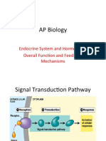 AP Biology Endocrine Systems-0