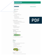 Resumo de Fotossíntese e Quimiossíntese - Biologia