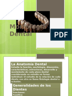 Morfología Dental.pptx
