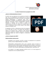 Guia Practica clinica Prevención de la progresión de la ERC(1).pdf