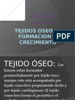 Tejidos Oseo