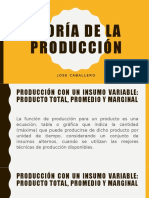 Capítulo 6. Teoría de La Producción