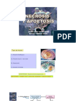 FISIOPATOLOGIA I AÑO 2020 APOPTOSIS EDEMAS INFLAMACION TUMORES