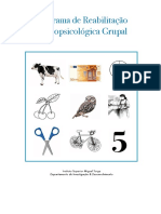 Reabilitação Neuropsicológica Grupal