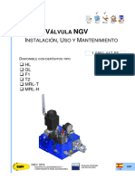 Val NGV 075 Es