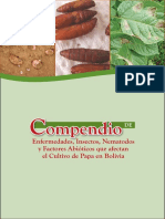 Compendio de Enfermedades de Papa en Bolivia PDF