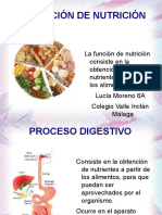 La Función de Nutrición