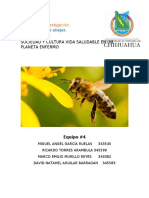 Importancia de Las Abejas (Investigación)