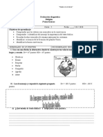 Diagnóstico Religión 5°