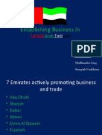 Establishing Business in UAE - Guide to Entity Types, Costs & Ethics
