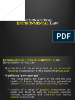 International-Environmental-Law.pdf