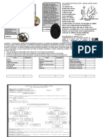 160774315-Taller-De-10-Factores-De-Produccion Grado Decimo Economia