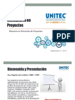 2019 0828 Consultoria Proyectos v4 PDF