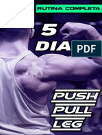 PUSH PULL LEG 5 DIAS AVANZADA.pdf