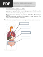 GUÍA FORMATIVA DE CIENCIAS NATURALES 1, 2 y Final Segundo