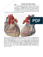 Atlas Em Portugues - Coracao e Vasos Da Base