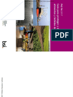 Pas962017 PDF