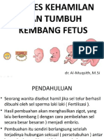 11. Proses Kehamilan dan TK Fetus.pptx