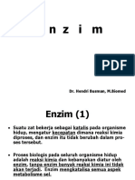 Enzim 7