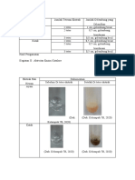 Tabel Hasil Pengamatan Katalase