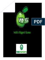 Thai Guava Production PDF by VNR