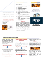 Leaflet Perawatan Luka