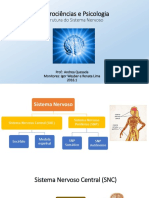 1 - Estrutura do Sistema Nervoso.pdf