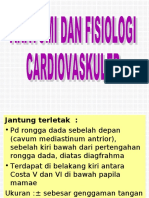 Anfis Cardivaskuler