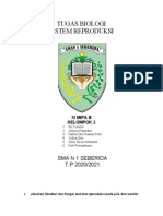 Tugas Biologi Sistem Reproduksi