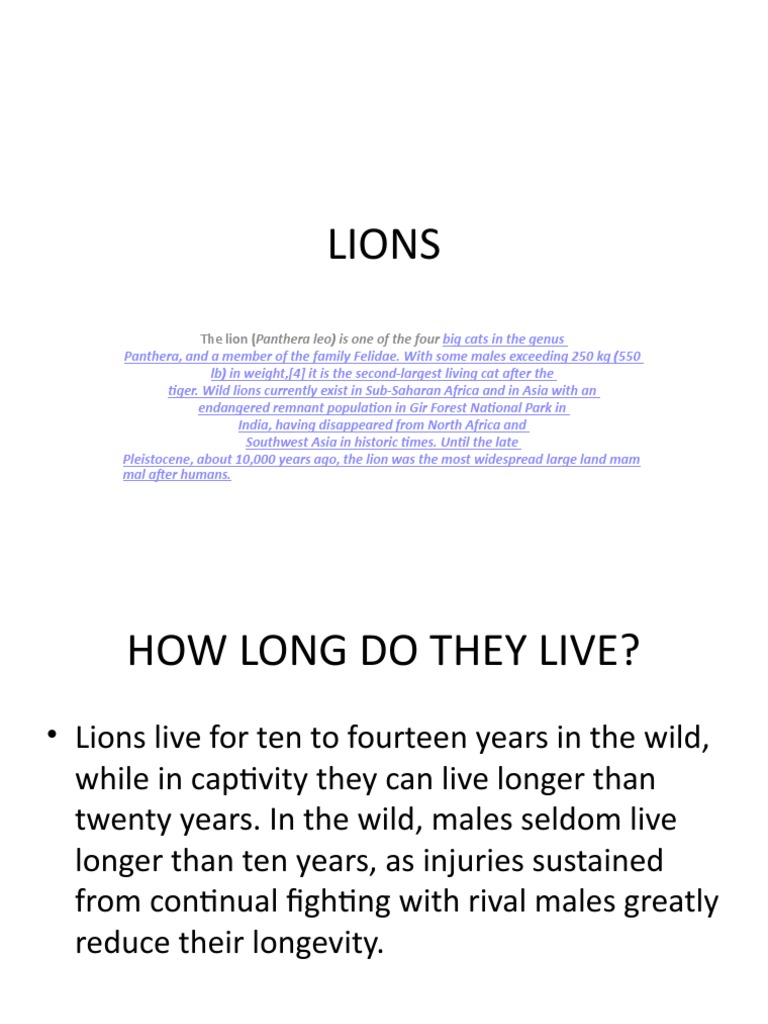 Lions: The Lion (Panthera Leo) Is One of The Four | PDF | Lion | Tiger