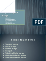 Bunga dan Alat Kelamin Tumbuhan