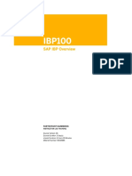 Ibp 100 V-6 PDF