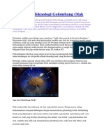 Brainwave PDF