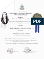 Documentos PDF