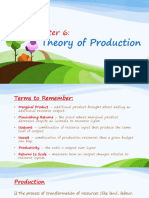 Theory of Production Final PDF