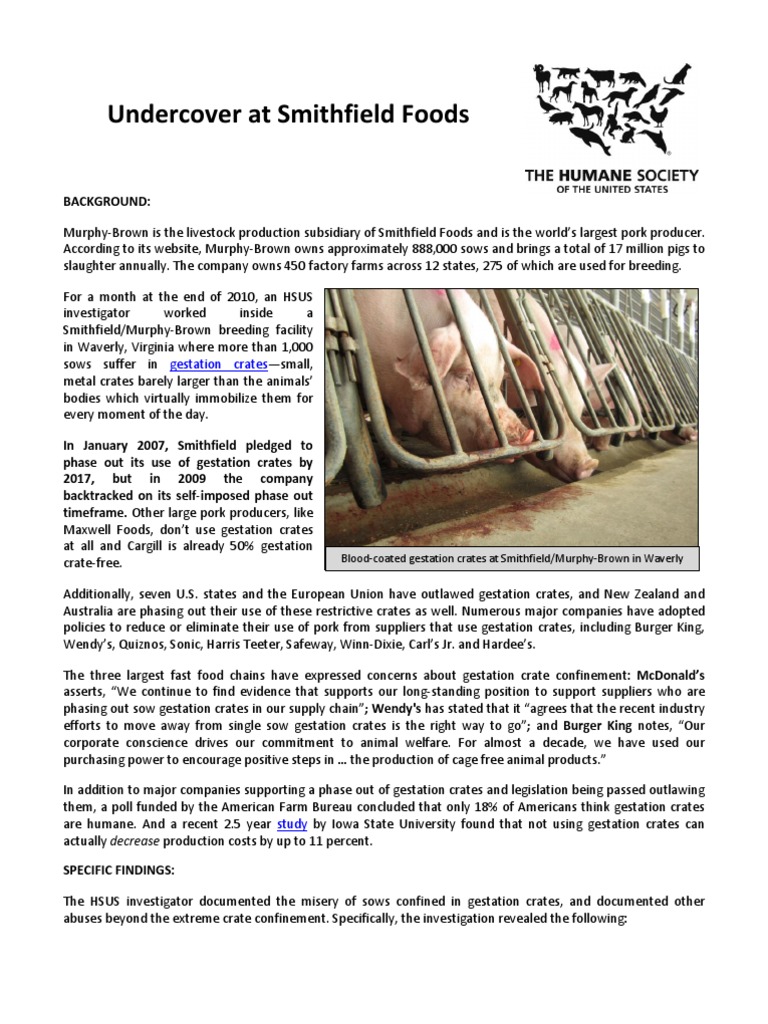 Smithfield Report Bioethics Livestock