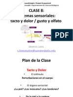 Clase 8. Sistema Somatosensitivo - BIOL 082