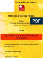 DAM Aula 6 - Reflexos e Marcos Físicos 19-20