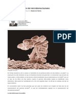 2017 Más allá del proyecto del microbioma humano Dpto de Genética y Biología Molecular.pdf