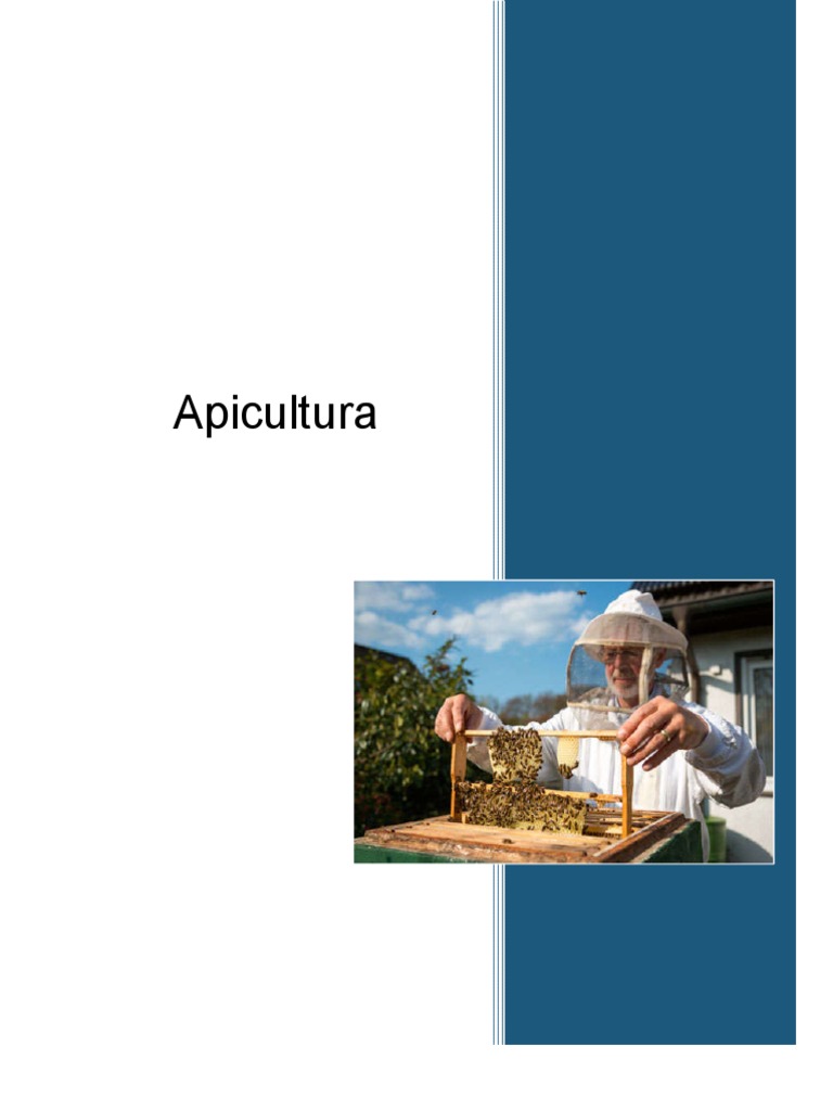 Historia y Beneficios de la Apicultura | PDF | Apicultura | Miel