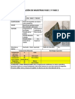 Clasificacion de muestras F1 y F2.docx