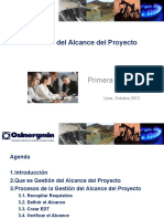 ALCANCE.pdf