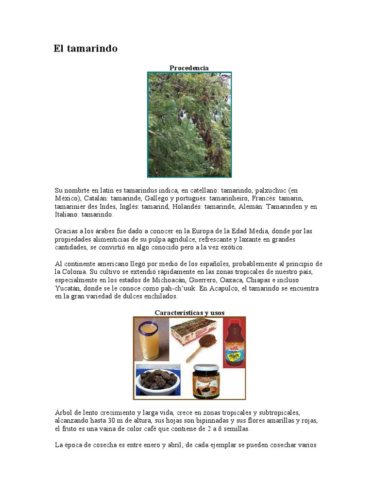 El Tamarindo Cocina Comida Y Bebida