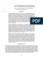 Sedimentological Characterization of The PDF