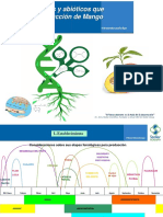 Factores Bioticos y Abióticos Que Afectan La Producción Del Mango
