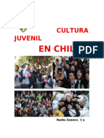 Cultura Juvenil