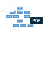 Estructura Organizacional CHG PDF